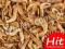 KREWETKA SUSZONA 100g - SHRIMPS - NATURALNY POKARM