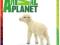 ANIMAL PLANET FIGURKA OWIECZKA NIE SCHLEICH