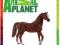 ANIMAL PLANET FIGURKA KOŃ ARABSKI NIE SCHLEICH