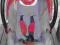 C.H.> Fotelik samochodowy Baby Design 0-13 kg
