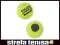 Piłka Tenisowa Babolat Mini Tennis Ball Magnet