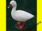PTAKI SZTUCZNE  -   BIAŁA GĘŚ   @   2507