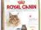 Royal Canin MAINE COON ADULT 10kg + 2kg PROMOCJA!
