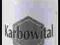 KARBOWITAL ZABURZENIA ŻOŁĄDKA JELIT PIES KOT 125ml