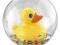 Fisher Price Kaczuszka Kąpielowa W Kuli 75676