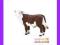 [EMARKT_PL] ANIMAL PLANET Cielę rasy Hereford patr