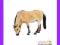 [EMARKT_PL] ANIMAL PLANET Klacz fiordzka