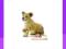 [EMARKT_PL] ANIMAL PLANET Lwiątko siedzące