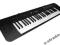 Keyboard Casio CTK-245 SUPER !