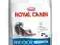 ROYAL CANIN INDOOR LONG HAIR 10KG, ŁÓDŹ BRUKOWA 27