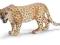 Schleich - leopard - 14360 + katalog