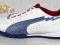 PUMA EVOSPEED TR 102657 01 R 39 TURF EGO-SPORT