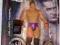 WWE JAKKS RA S26 WILLIAM REGAL WRESTLING FIGURKA