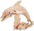 ~ PUZZLE DREWNIANE 3D ~ MAŁY DELFIN ~
