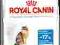 Royal Canin Light Feline na wagę! 1kg, 400g W-wa.