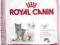 ROYAL CANIN KITTEN - 2kg.