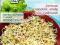 SOCZEWICA 20g nasiona na kiełki kiełkownica SOCZEWICA 20g nasiona na kiełki kiełkownica