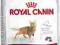 ROYAL CANIN FIT - 2kg.