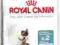 ROYAL CANIN INTENSE HAIRBALL - 2kg.