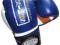 Rękawice bokserskie INTENSE FIGHT MASTERS __ 10oz