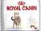 ROYAL CANIN STERILISED APPETITE CONTROL - 2kg.