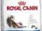 ROYAL CANIN INDOOR LONG HAIR 35 - 2kg.