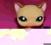 Littlest Pet Shop LPS kot kotek