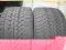 NOKIAN WR 295/30 19