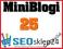 Prywatne Zaplecze 25 MiniBlogów Pozycjonowanie HIT