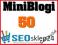 Prywatne Zaplecze 50 MiniBlogów Pozycjonowanie HIT