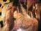 DEAD OR ALIVE - Sophisticated Boom boom  1wyd Engl