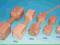 APORT DREWNIANY 1000gr
