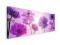 Flowers in Purple obraz na płótnie 150x57