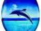 Deska sedesowa wolnoopadająca Dolphin Dream