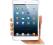 Nowy Apple iPad Mini 16GB WiF Faktura Warszawa