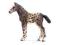 SCHLEICH 13760 Kuc Knabstrupper