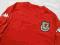 WALIA KAPPA /BALE GIGS 2004/2006 Wales Cymru L/XL