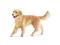 SCHLEICH 16395 Golden retriever, suczka