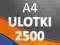 Ulotki / Plakaty A4 2500 - DARMOWA DOSTAWA ulotka