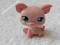 LPS ŚWINKA LITTLEST PET SHOP FIGURKA PROSIACZEK !