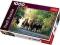 Puzzle Ogiery pełnej krwi angielskiej 1000