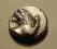 HEMIDRACHMA