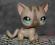 Littlest Pet Shop KOT szary shorthair #468 UNIKAT