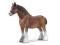 SCHLEICH 13670 OGIER RASY CLYDESDALE new 2010