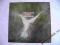 ELP - S/T (Island 1press GER) EX-