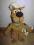 SCOOBY-DOO SCOOBY MASKOTKA PIESEK 28CM