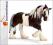 Schleich Życie Na Farmie Klacz Czarno Biała 1327