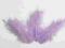 Kolorowe pióra piórka marabuta 10 szt. Fiolet jasn