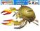 PUZZLE DREWNIANE 3D PRZESTRZENNE KRAB