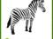 ANIMAL P. Zebra